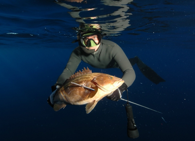  Etapa de pesca 
